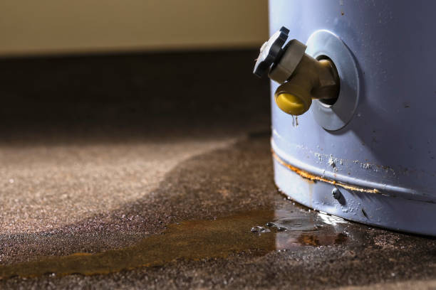 Best Sewage cleanup and water damage restoration  in Sebastopol, CA