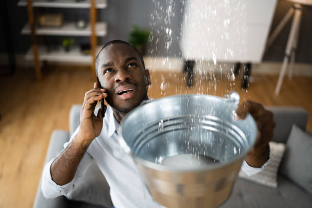 Best Local water damage restoration  in Sebastopol, CA