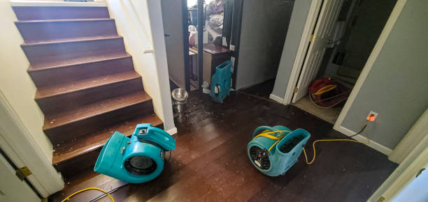 Best Water damage contractors near me  in Sebastopol, CA