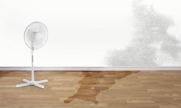 Best Water damage restoration near me  in Sebastopol, CA