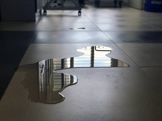 Best Water damage restoration specialists  in Sebastopol, CA