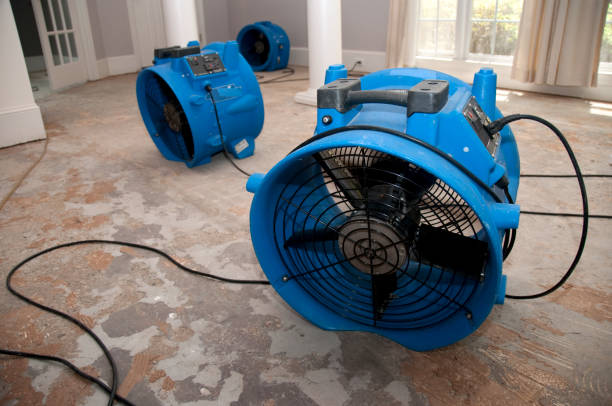 Fire Damage Restoration in Sebastopol, CA