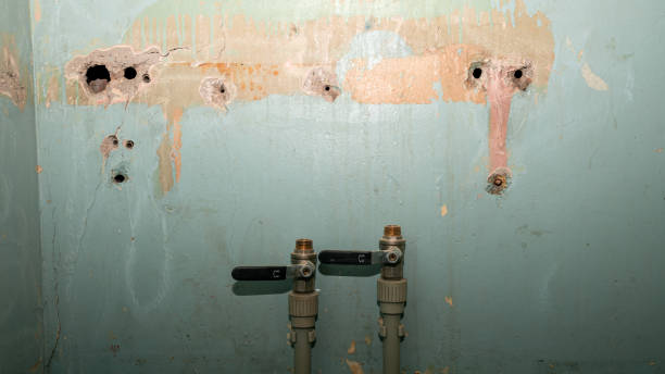 Best 24-hour water damage restoration  in Sebastopol, CA