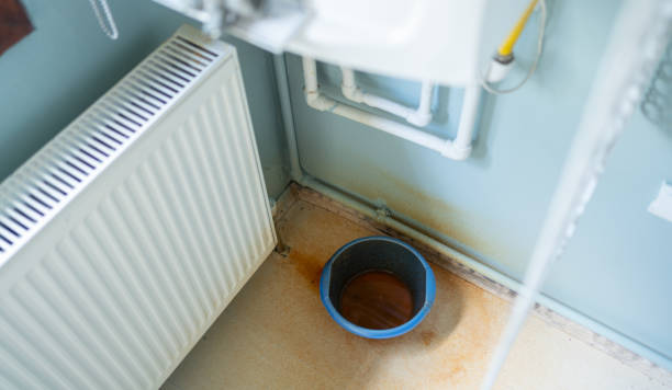 Best Flood damage cleanup  in Sebastopol, CA