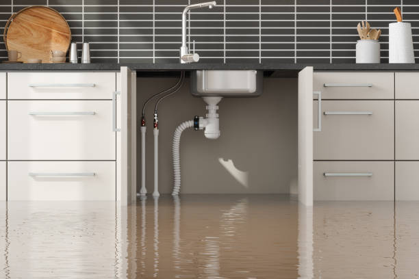 Best Fire Damage Restoration  in Sebastopol, CA