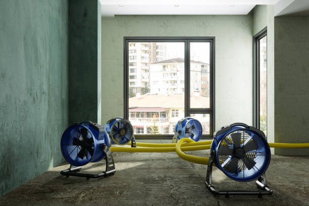 Best Ceiling water damage repair  in Sebastopol, CA